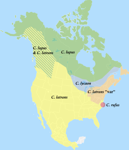 https://upload.wikimedia.org/wikipedia/commons/thumb/a/a0/Distribution_of_North_American_Canis_2.png/413px-Distribution_of_North_American_Canis_2.png