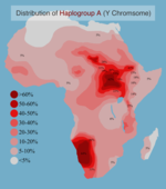 Distribution of Y-Chromosome Haplogroup A in Africa.png