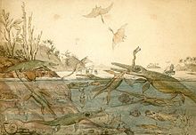 Watercolour of prehistoric animals and plants living in the sea and on the nearby shore; foreground figures include pterosaurs fighting in the air above the sea and an ichthyosaur byting into the long neck of a plesiosaur.