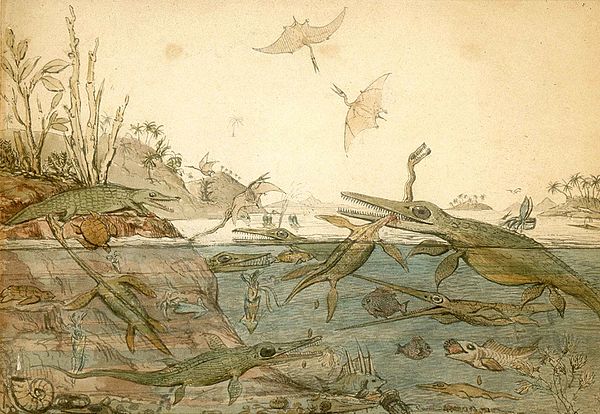 Duria Antiquior – A more Ancient Dorset is a watercolor painted in 1830 by the geologist Henry De la Beche based on fossils found by Mary Anning. The late 18th and early 19th century was a time of rapid and dramatic changes in ideas about the history of life on earth.