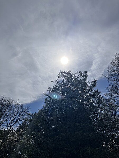 File:Eclipse 2024 from Islip, NY (53640061267).jpg