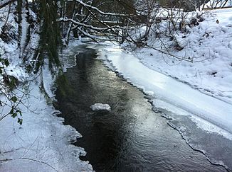 Irsen in winter