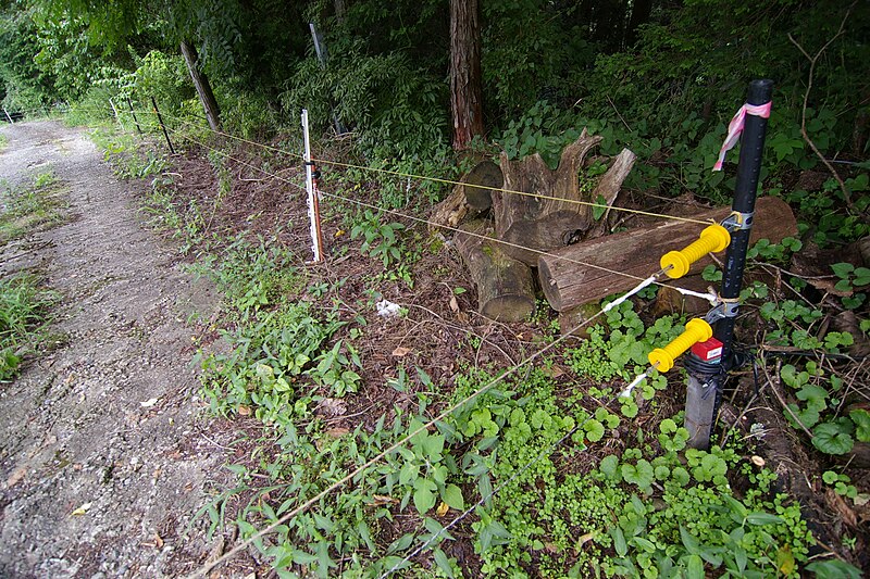 File:Electric fence 01.jpg