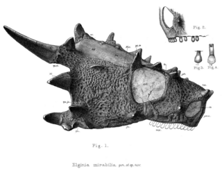 <i>Elginia</i> Extinct genus of reptiles