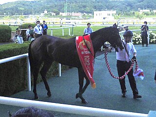 <span class="mw-page-title-main">Radio Nikkei Sho</span> Horse race