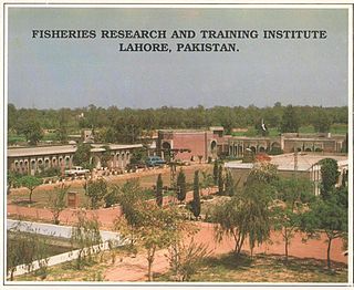 Fisheries Research and Training Institute