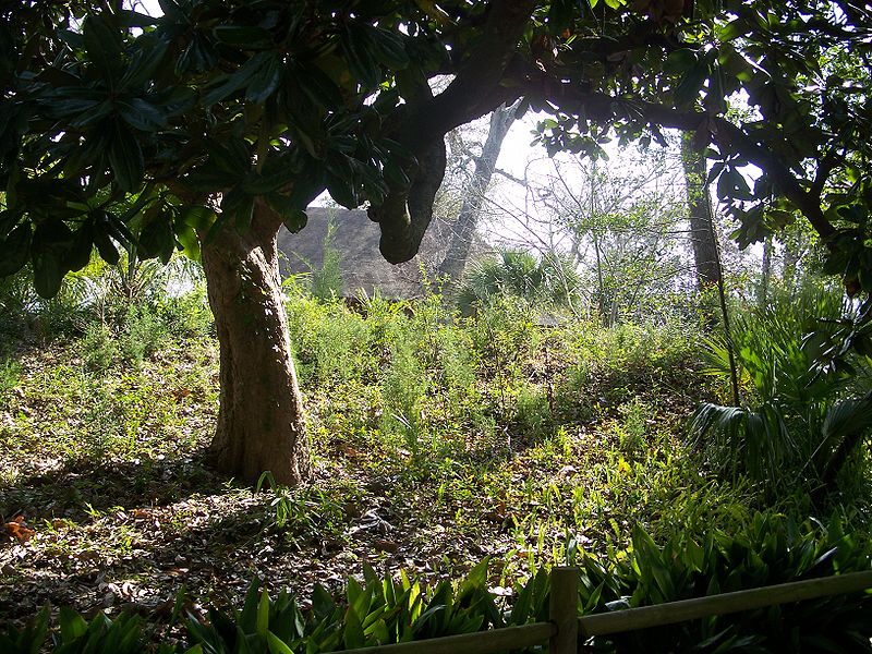 File:FWB Temple Mound05.jpg