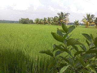 Athivetti village in Tamil Nadu, India
