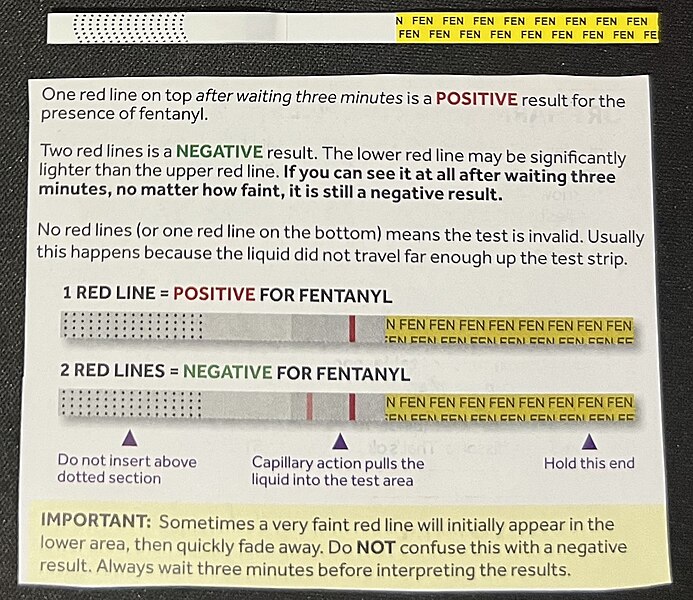 File:Fentanyl-test-strip.jpg