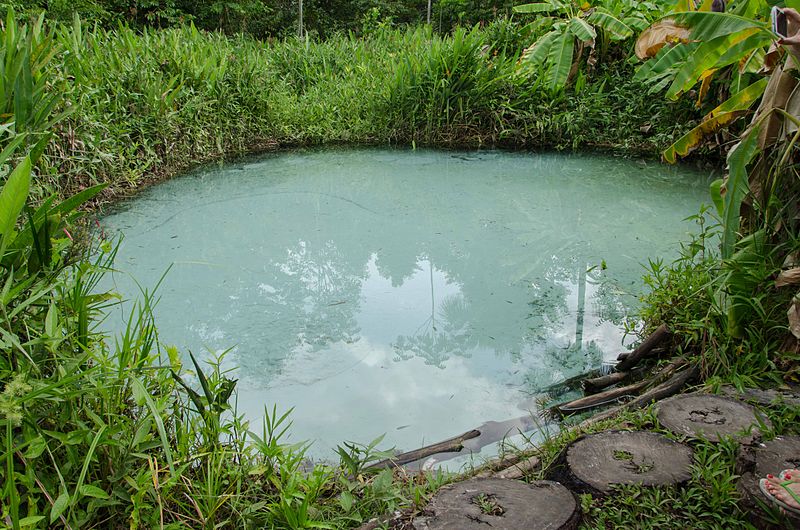 File:Fervedouro dos Buritis - parque estadual do jalapão.jpg