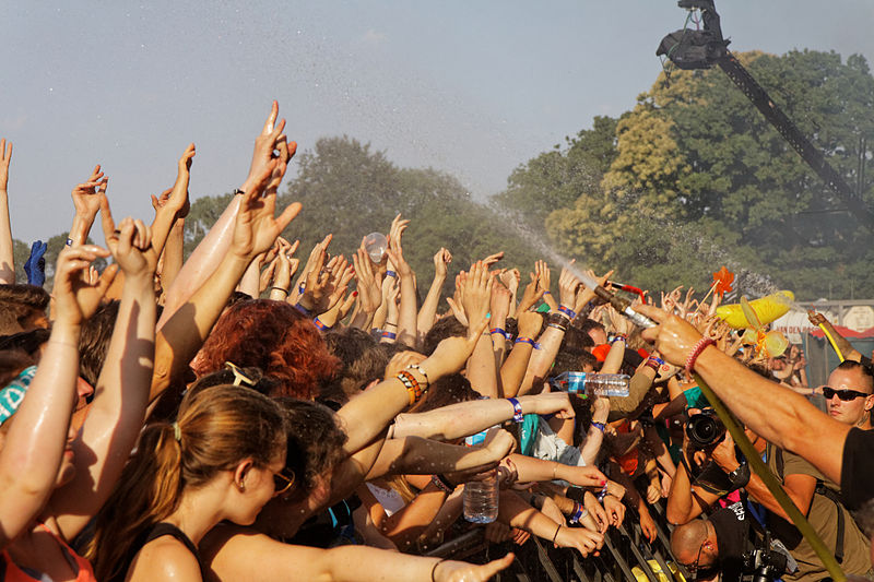 File:Festival des Vieilles Charrues 2014 - 008.jpg