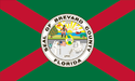 Contea di Brevard – Bandiera