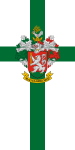Magyarmecske zászlaja