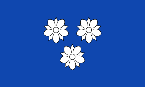 File:Flagge Viersen.svg