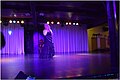 Flamenco Show 480DSC 0276 (49924869953).jpg