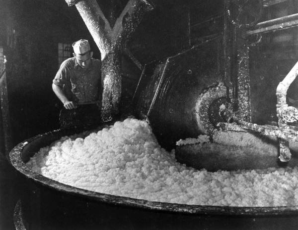 A worker inspecting wet, bleached wood pulp on an old-fashioned Hollander pulper or "beater".