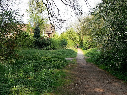 Footpath on the old railway - geograph.org.uk - 2366459