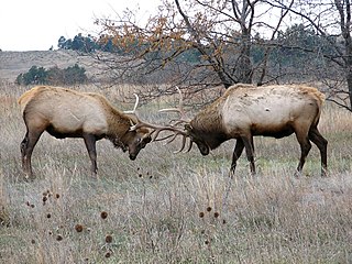 Fort Niobrara National Wildlife Refuge