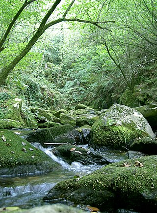<span class="mw-page-title-main">Fragas do Eume</span> Natural Park of Spain