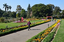 Garden - Agri-Horticultural Society of India - Alipore - Kolkata 2013-02-10 4806.JPG