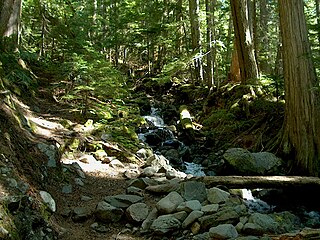 <span class="mw-page-title-main">British Columbia mainland coastal forests</span> Temperate coniferous forest ecoregion in British Columbia, Canada and Washington, United States