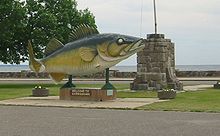 This giant walleye statue, standing in a park along
U.S. Highway 169, greets visitors to Garrison and promises great fishing in Mille Lacs. Garrison Big Fish.jpg