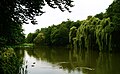 park, ob. Park Oruński w zespole dworskim