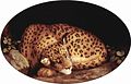 Leopardo (1780)