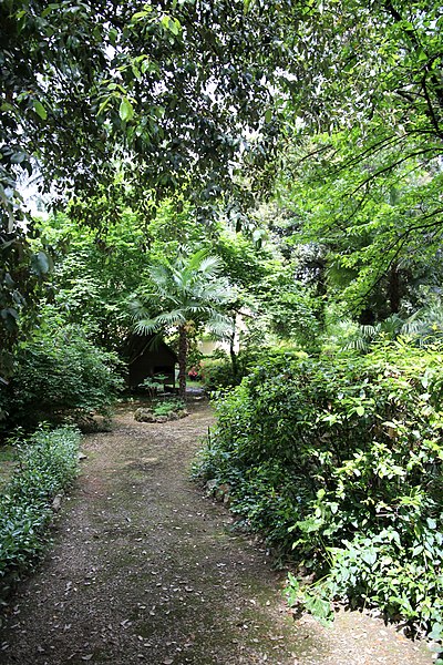 File:Giardino torrigiani, vialetti 03.jpg