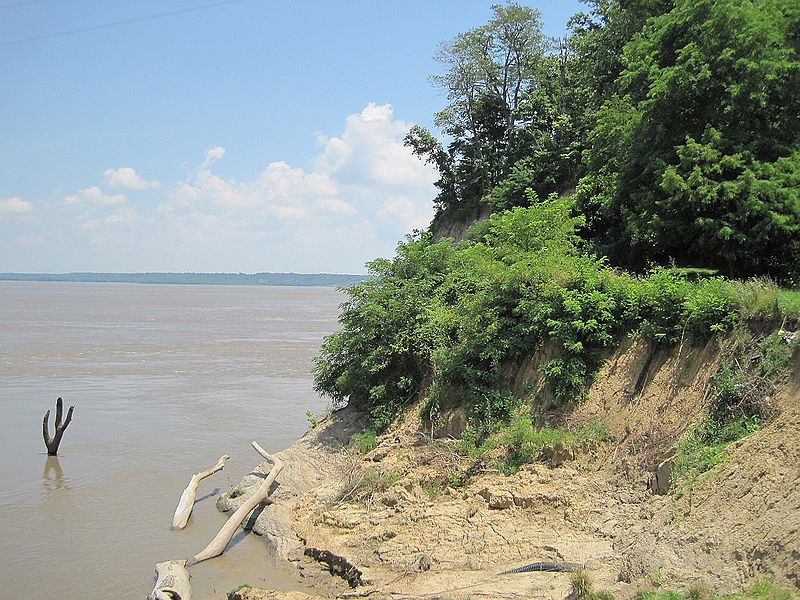File:Gilt Edge TN 07 Mississippi River and 2nd Chickasaw Bluff at western terminus TN59.jpg