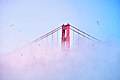 Golden Gate Bridge During Low Fog
