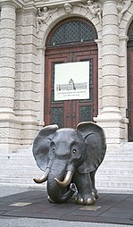 Elephant by Gottfried Kumpf