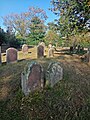 Grünstadt Jewish cemetery 2.jpg