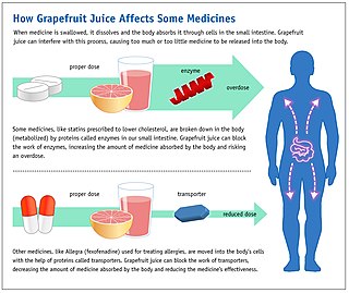 Grapefruit–drug interactions