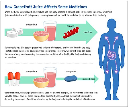 ไฟล์:Grapefruit_Juice_and_Medicine_May_Not_Mix_(6774935740).jpg