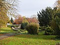 Thumbnail for File:Green space beside the Western Bypass - geograph.org.uk - 5603431.jpg