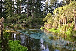 Hamurana stream di Hamurana Springs Recreation Reserve