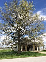 Hanover Shoe Farms