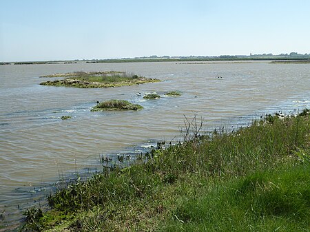 Hazlewood Marshes 9