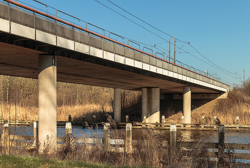 File:Hollandse Hout, natuurgebied in Flevoland. 07-02-2020. (actm.) 04.jpg