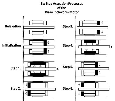 Figure 2. Six Step Actuation Processes of the Piezo Inchworm Motor. Inchworm Motor.jpg