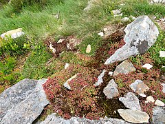 Inside the Celtic Iron Age hillfort of Tre'r Ceiri, Gwynedd Wales, with 150 houses; finest in N Europe 107.jpg
