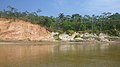 Ipixuna - State of Amazonas, Brazil - panoramio.jpg