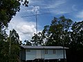 File:St Stephen's Presbyterian Church steeple and Araucaria cunninghamii  from Limestone St Ipswich P1060262.jpg - Wikimedia Commons