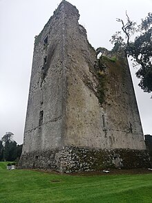 A tower house in Ireland. The Normans consolidated their presence throughout Ireland by building hundreds of castles and towers such as this. Irish tower house.jpg