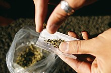 "Spice", the brand name given to synthetic cannabinoids. JBMHH substance abuse coordinator warns of Spice dangers 151022-A-DZ999-972.jpg