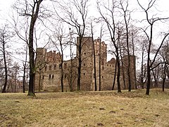 Ruinas del castillo de Drzewica (1527-1535)