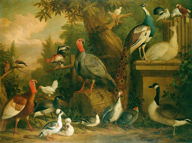 File:Jakob Bogdani (c. 1660-1720) - Birds in a Landscape - RCIN 406140 - Royal Collection.jpg