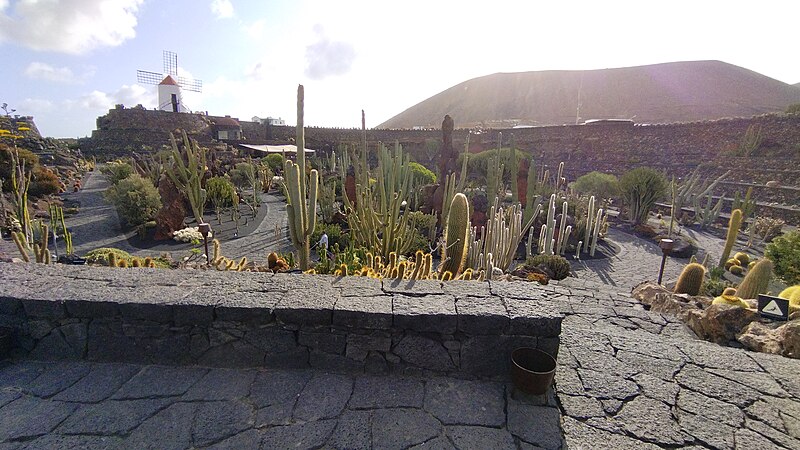 File:Jardin de Cactus (09-2021) 14.jpg