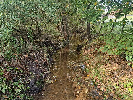 Jarlinger Bach (Warnau)